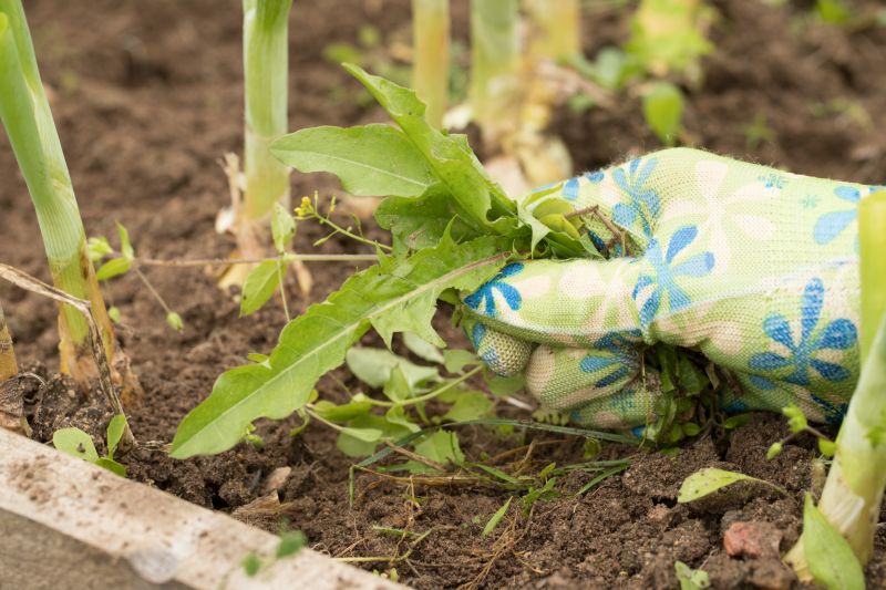 Effective Weed Pulling Strategies — Cost of Weed Pulling