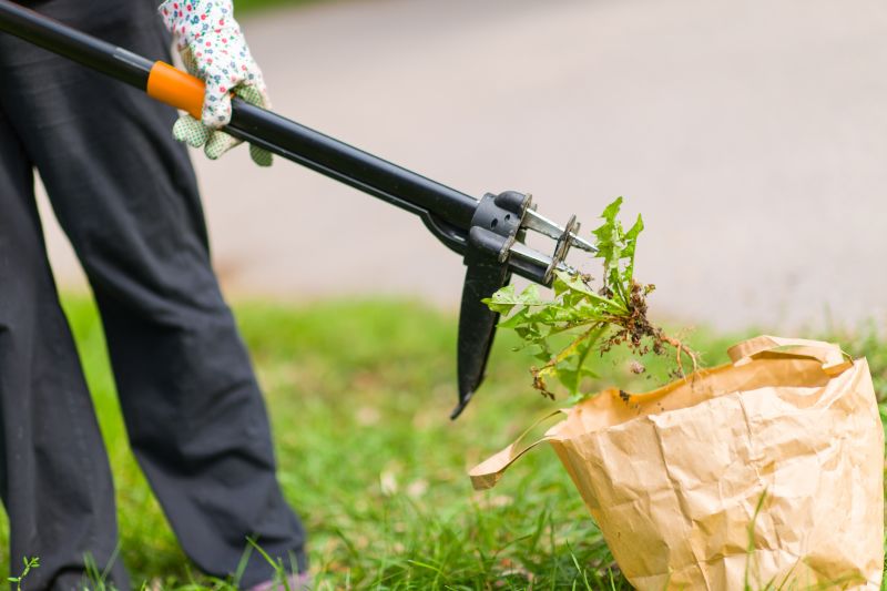 Effective Weed Pulling Strategies — Cost of Weed Pulling
