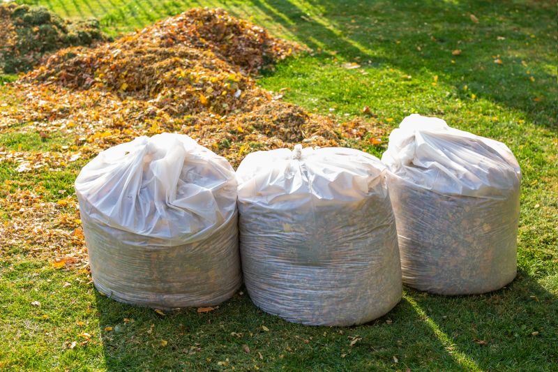 Why Fall And Spring Are The Best Times For Lawn Clean Up