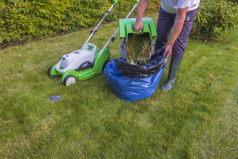 Yard Cleanup Service in Honolulu, HI