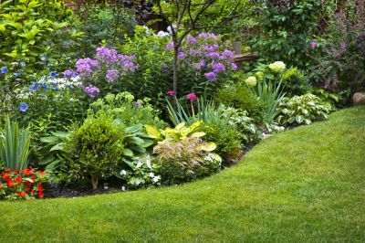 Prevent the Spread of More Weeds!